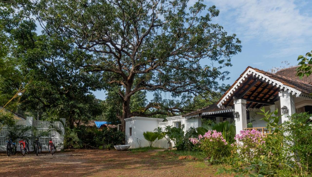 The Island Sanctuary - A Village Secret Chorao Extérieur photo